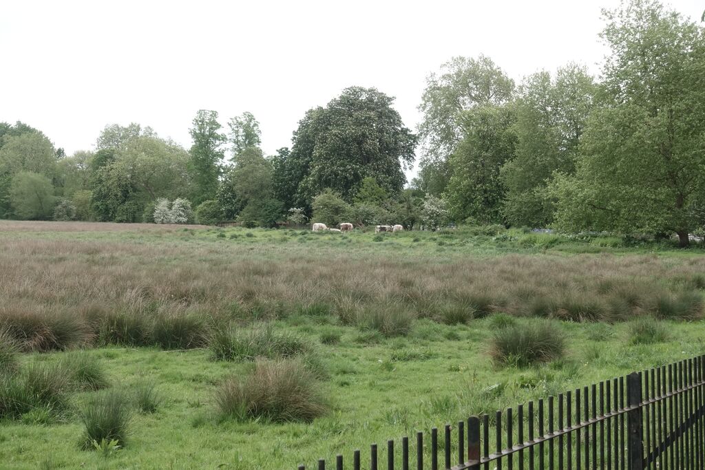 File:SAM00090.JPG