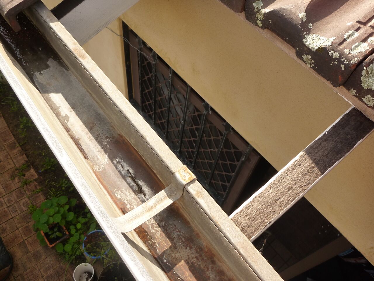 File:P1050482.JPG