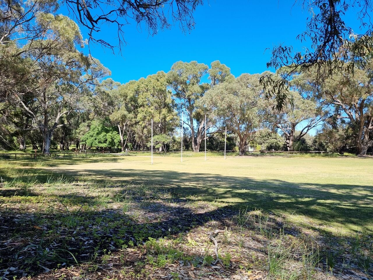 File:20251027 092039.jpg