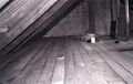 Thumbnail for version as of 13:24, 24 February 2026