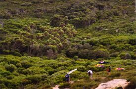 Royal National Park (I think)