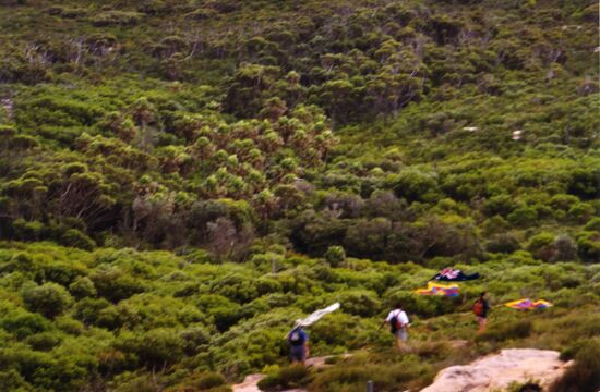 Royal National Park (I think)