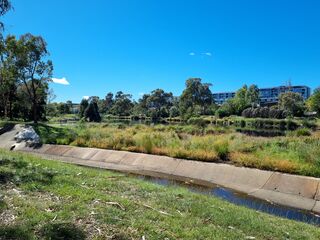 Lyneham wetlands