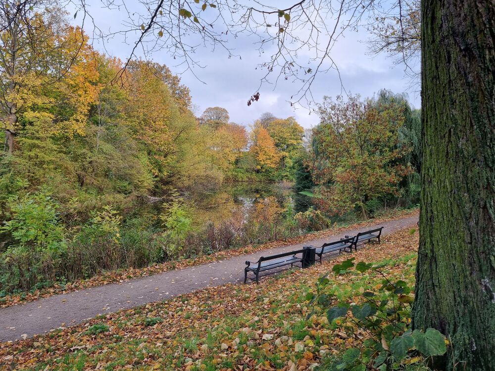 File:P26212 Benches near the Kastellet.jpg