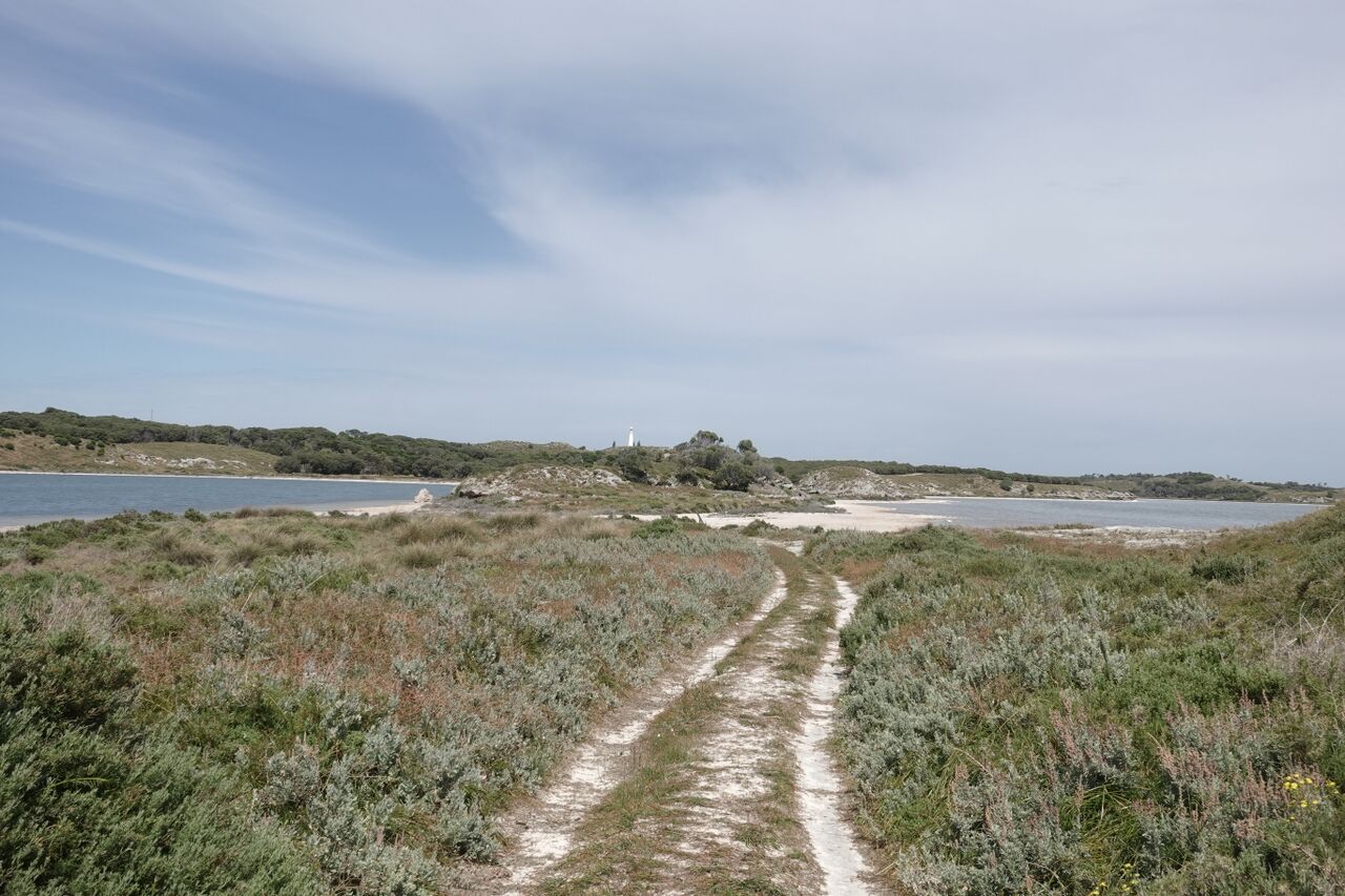 File:2026-10-14 Rottnest 002.JPG