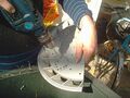 Thumbnail for version as of 06:21, 28 January 2026