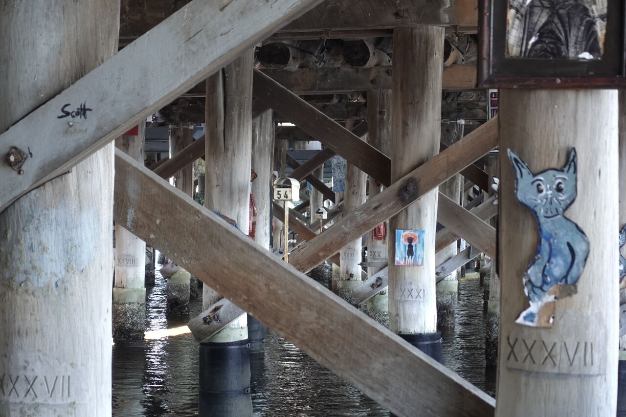 File:2026-10-13 Canning Bridge 003.JPG