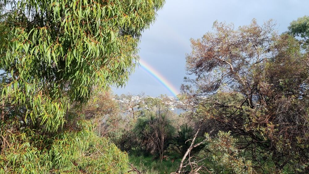 File:20250723 150133.jpg