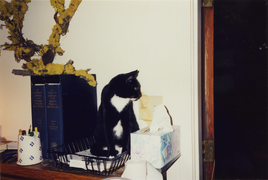 Mimi, 1997
