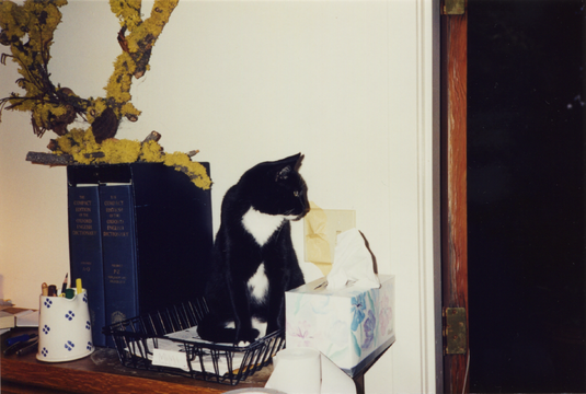 Mimi, 1997
