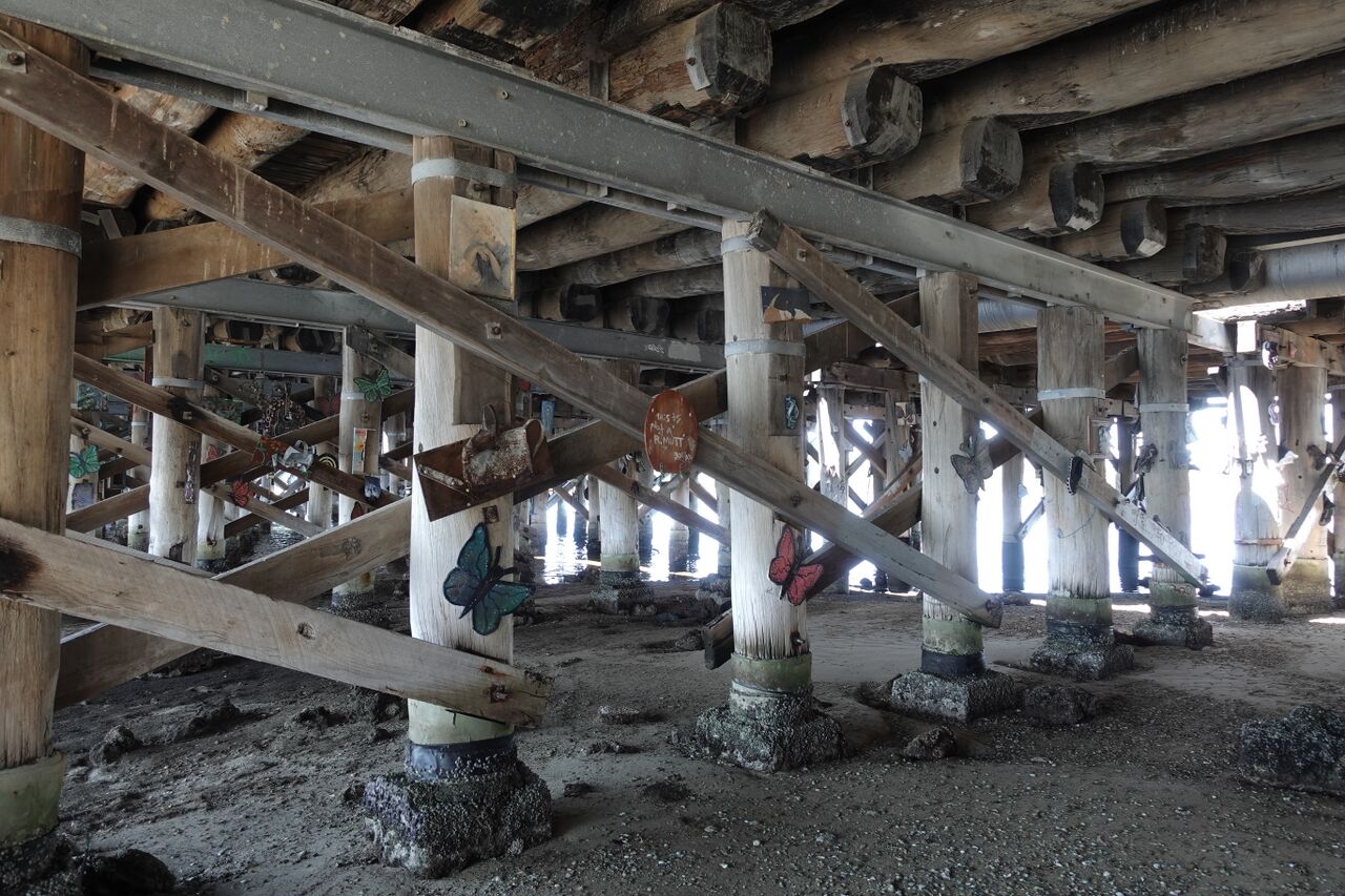 File:2026-10-13 Canning Bridge 005.JPG