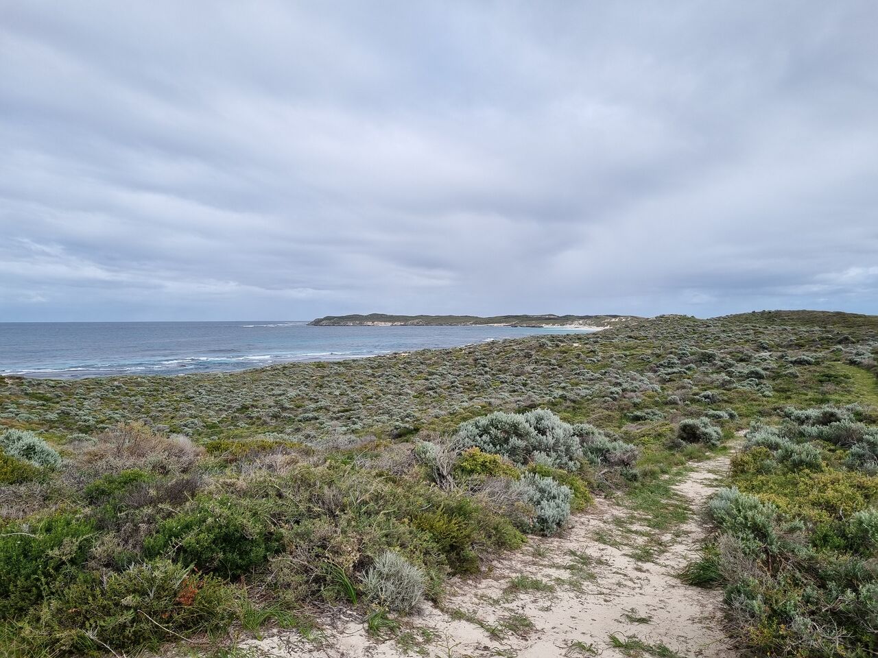 File:20260901 100211.jpg