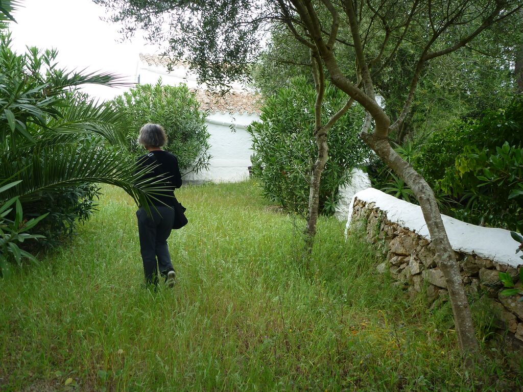 File:P20476 P1080707.jpg