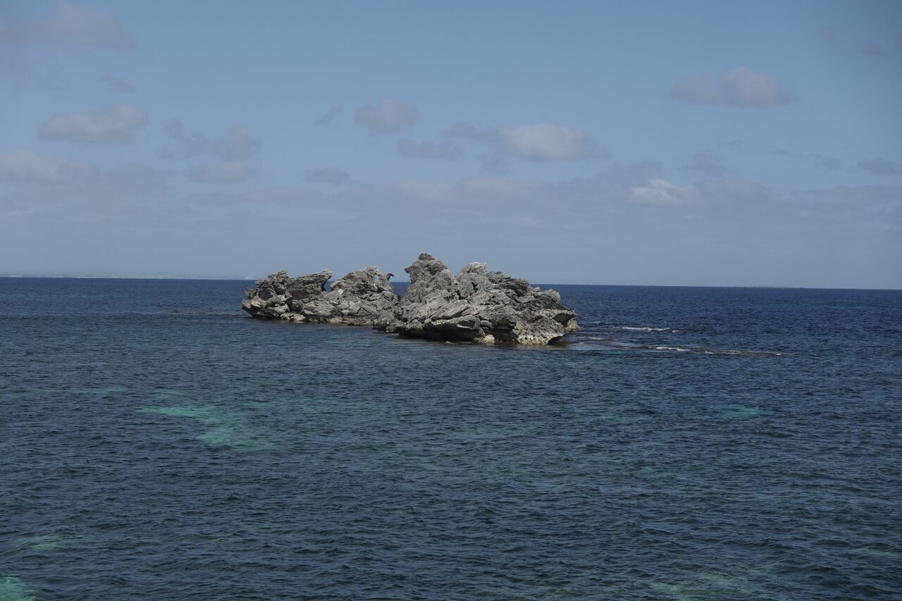 File:SAM01049.JPG