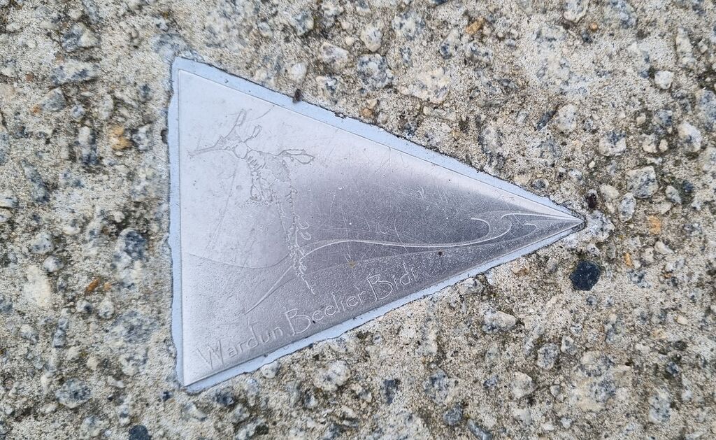 File:20250723 131842.jpg