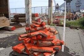 Grown knees at Swandocks